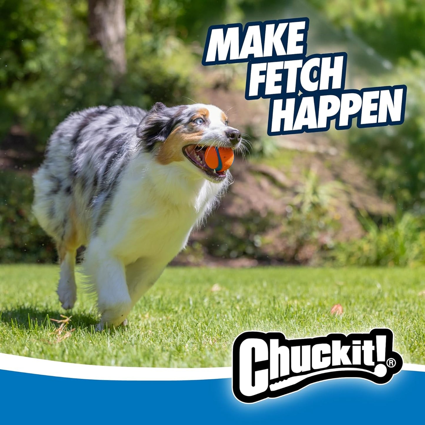 Ultra Bounce Fetch Ball™