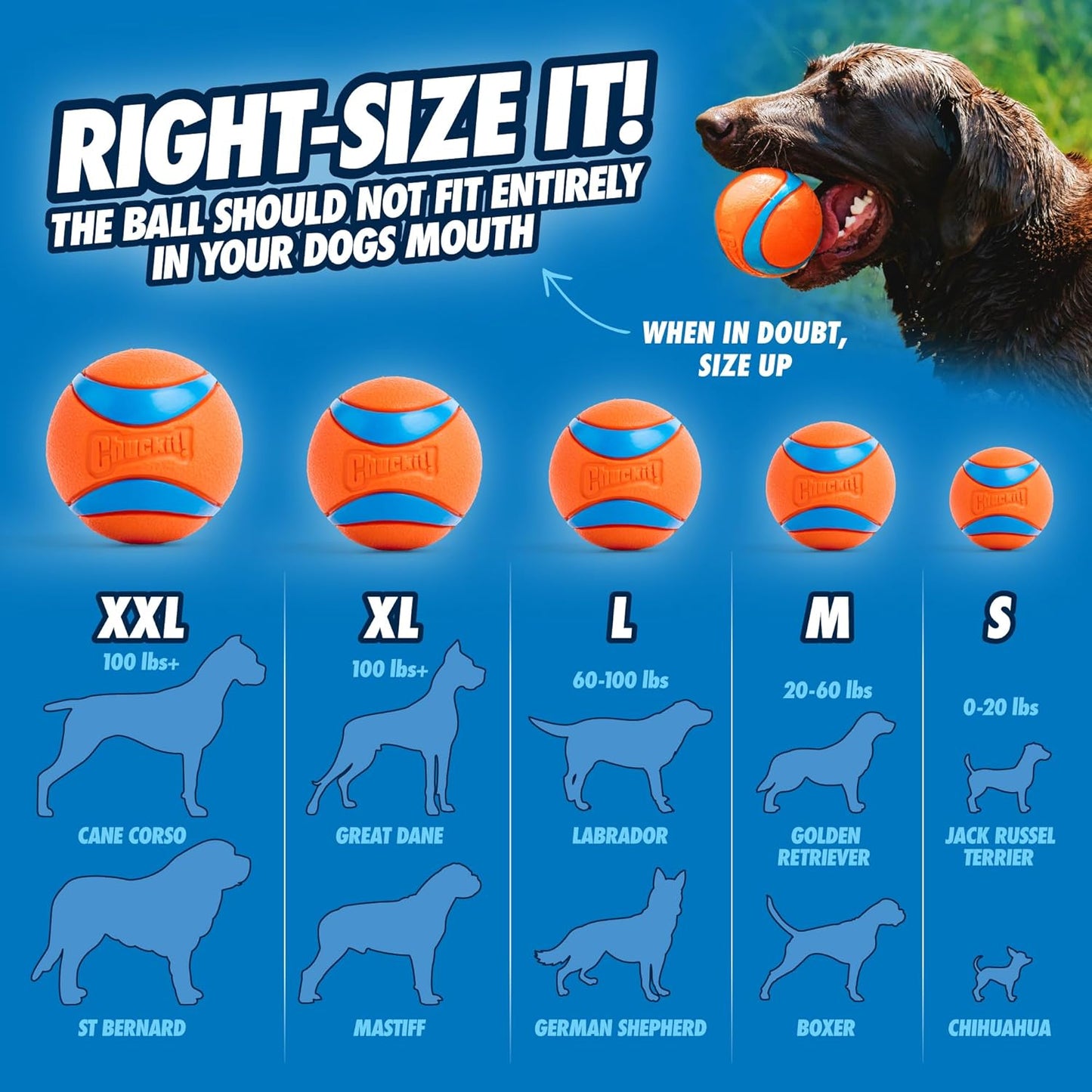 Ultra Bounce Fetch Ball™