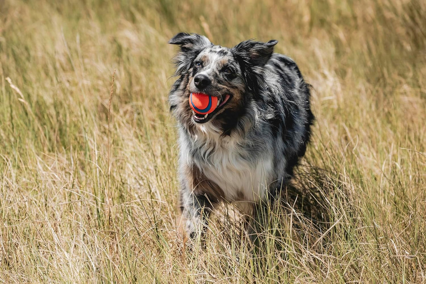 Ultra Bounce Fetch Ball™